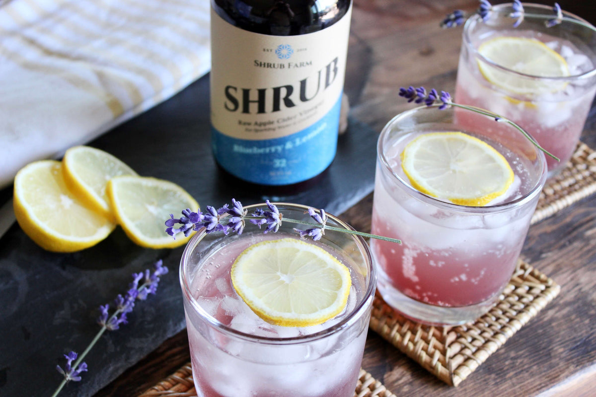 Blueberry Spark – Apple State Vinegar