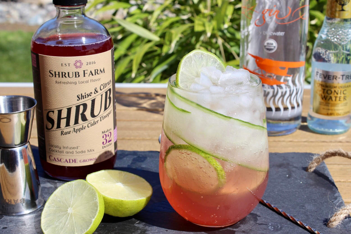 Gin & Shiso Tonic – Apple State Vinegar