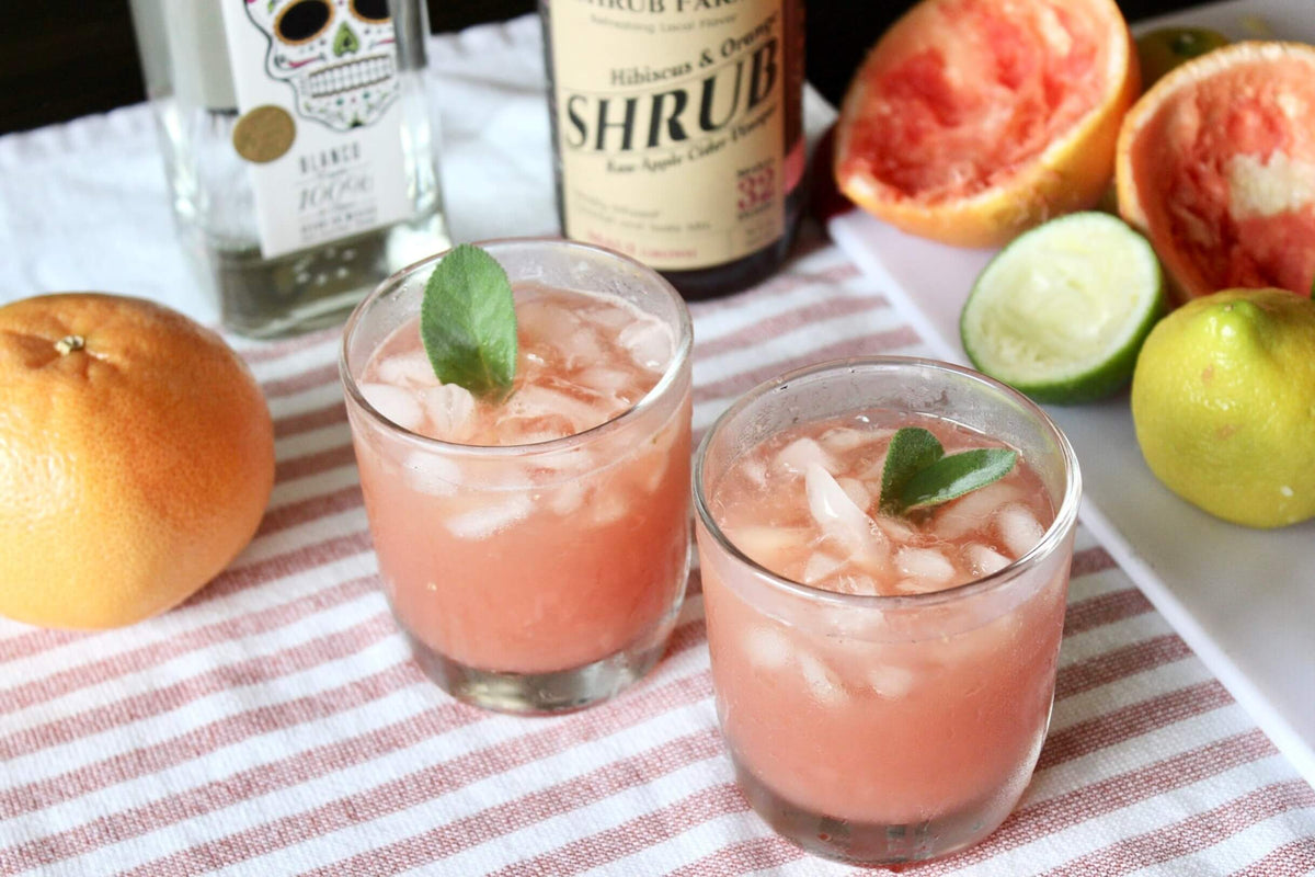 Shrub Paloma – Apple State Vinegar
