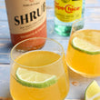 Load image into Gallery viewer, Turmeric & Carrot Shrub-Shrub-Apple State Vinegar
