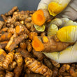 Load image into Gallery viewer, Turmeric & Carrot Shrub-Shrub-Apple State Vinegar