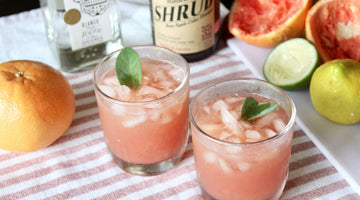 Get Your Summertime Vibes On With A Shrub Paloma!