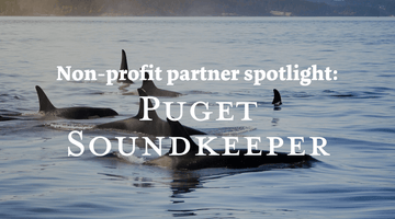 How Puget Soundkeeper Protects the Salish Sea