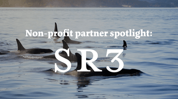 Nonprofit Spotlight: SR3