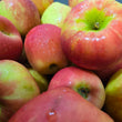 Load image into Gallery viewer, A close-up pile of fresh apples with red and yellow skin, covered in water droplets.
