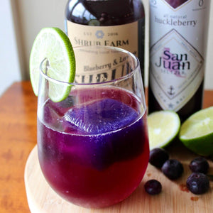 Blueberry & Lemon Shrub-Shrub-Apple State Vinegar