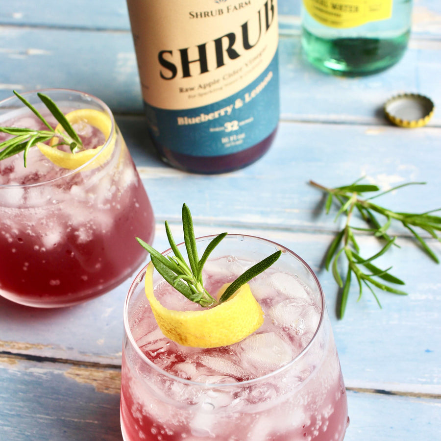Blueberry & Lemon Shrub-Shrub-Apple State Vinegar